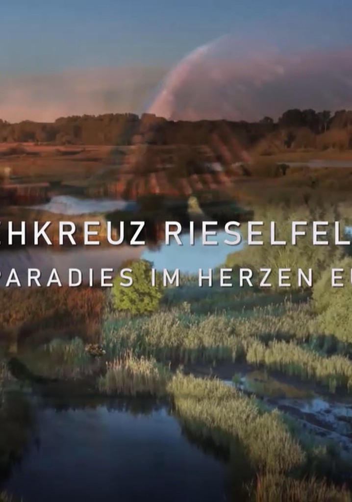 Drehkreuz Rieselfelder: Vogelparadies im Herzen Europas