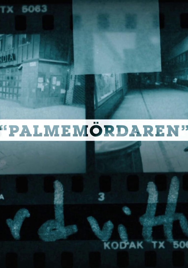 Palmemördaren