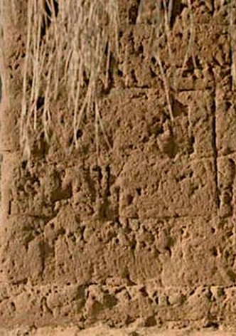 Terres de femmes