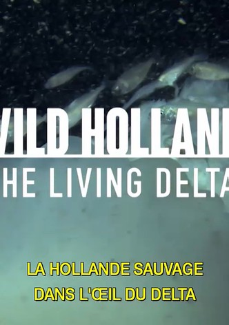 Holanda salvaje