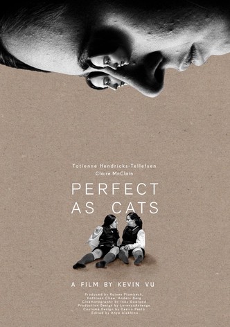 Perfect as Cats
