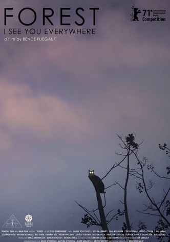 Forest: I See You Everywhere