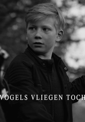 Vogels vliegen toch