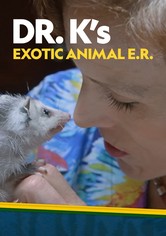 Doctora K: Animales exóticos