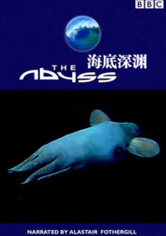 The Abyss