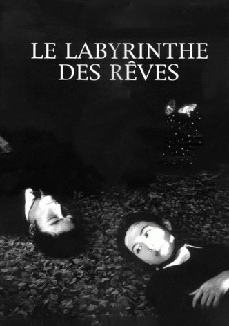 Le Labyrinthe des rêves