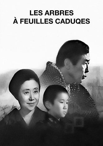 Les Arbres à feuilles caduques