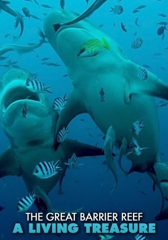 The Great Barrier Reef: A Living Treasure