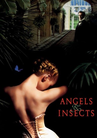 Ángeles e insectos