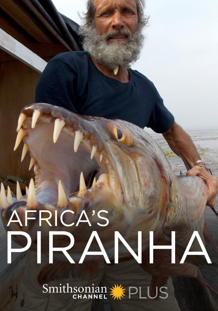 Africa's Piranha