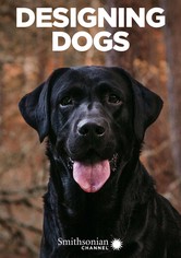 Designing Dogs - Hunde nach Maß