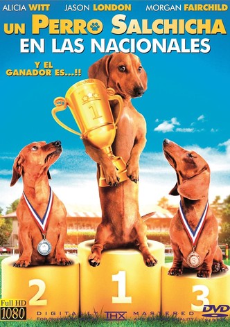 Wiener Dog Nationals