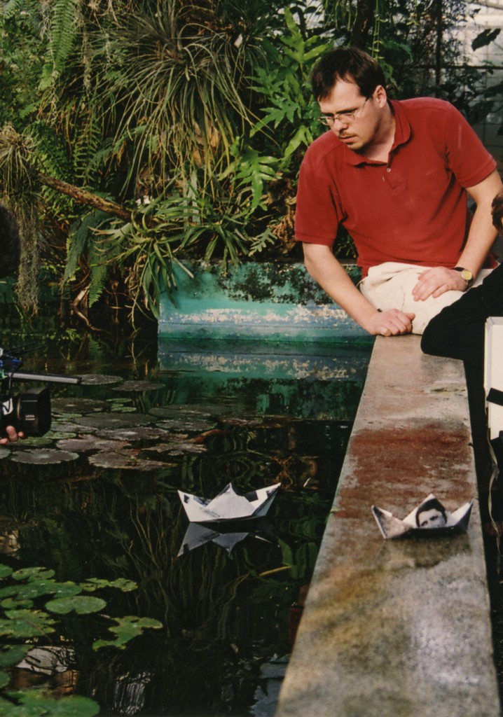 Celebration of a Lonely Palm