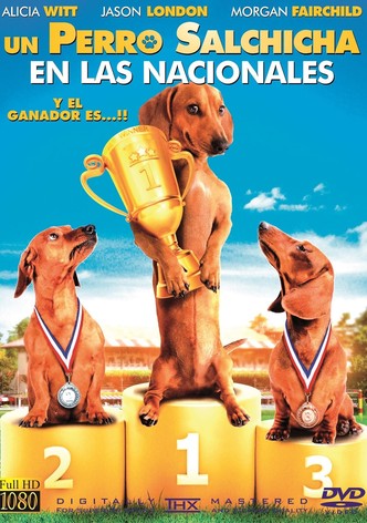 Wiener Dog Nationals