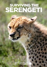 Surviving the Serengeti