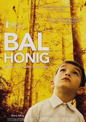 Bal - Honig