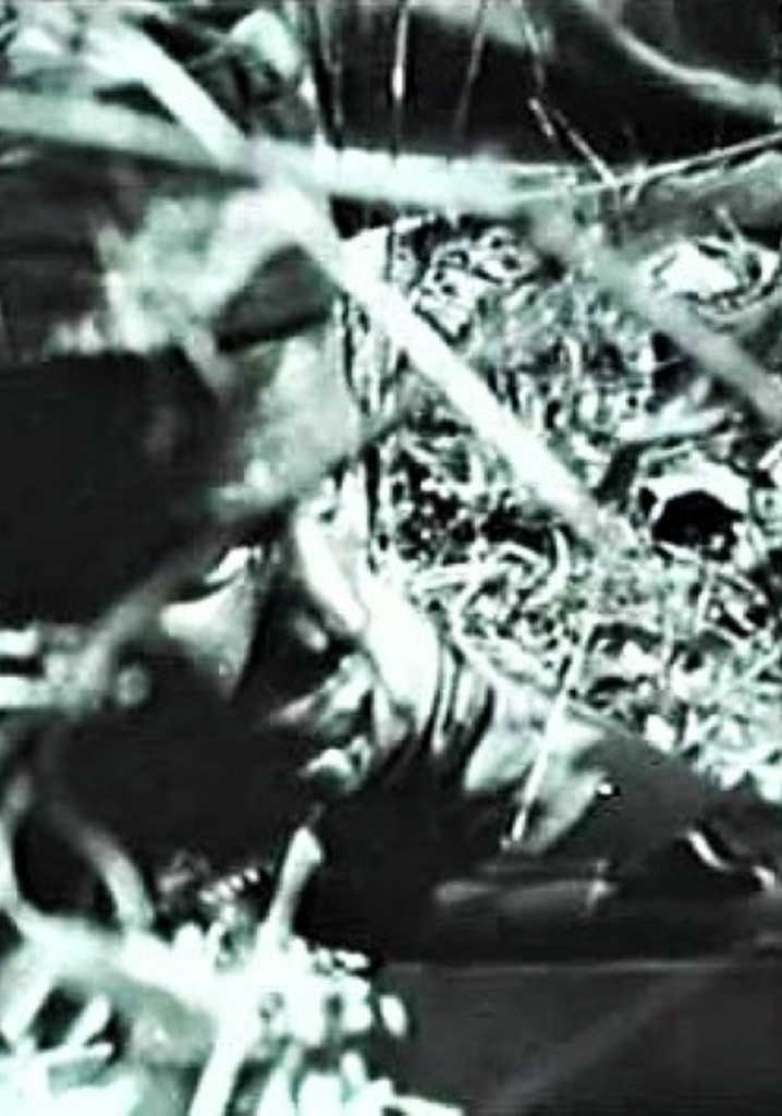 Anos de Guerra - Guiné 1963-1974