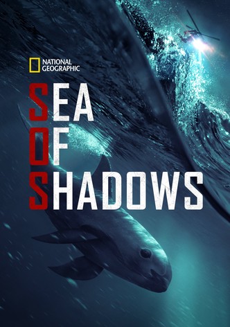 Sea of Shadows