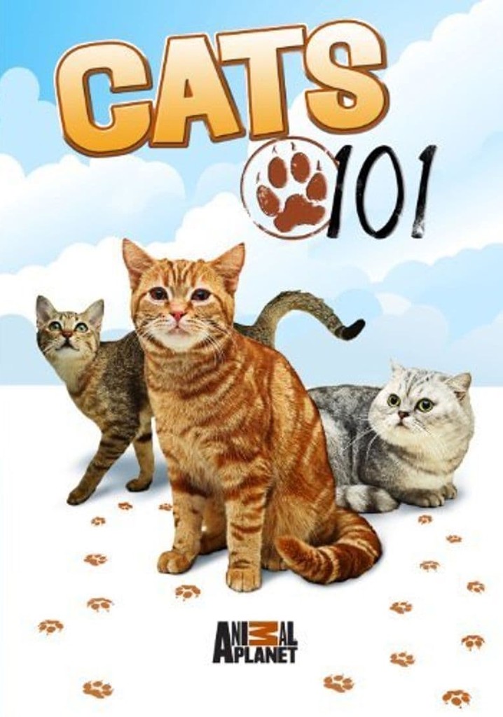 Cats 101 - watch tv show streaming online