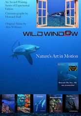 Wild Window - Sezon 1