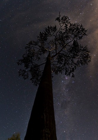 Forged from Fire - the Making of the Blacksmiths Tree