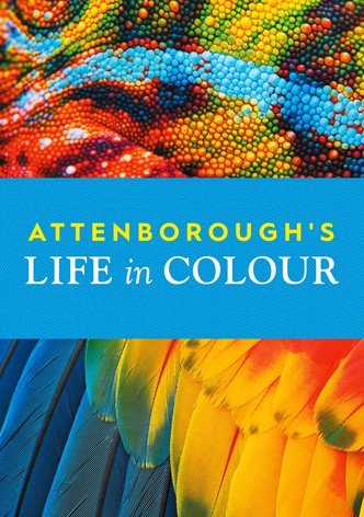 Life in Colour with David Attenborough