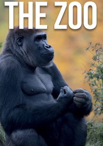 The Zoo