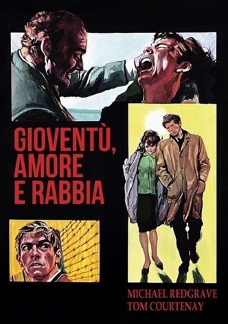 Gioventù amore e rabbia