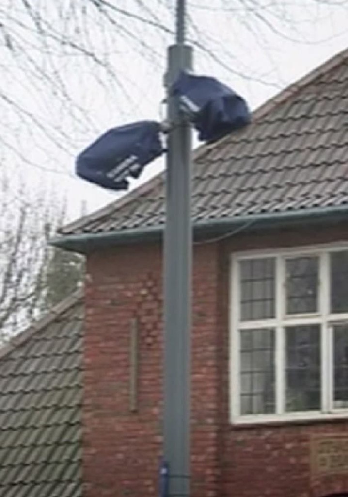 Defeat of the Champion