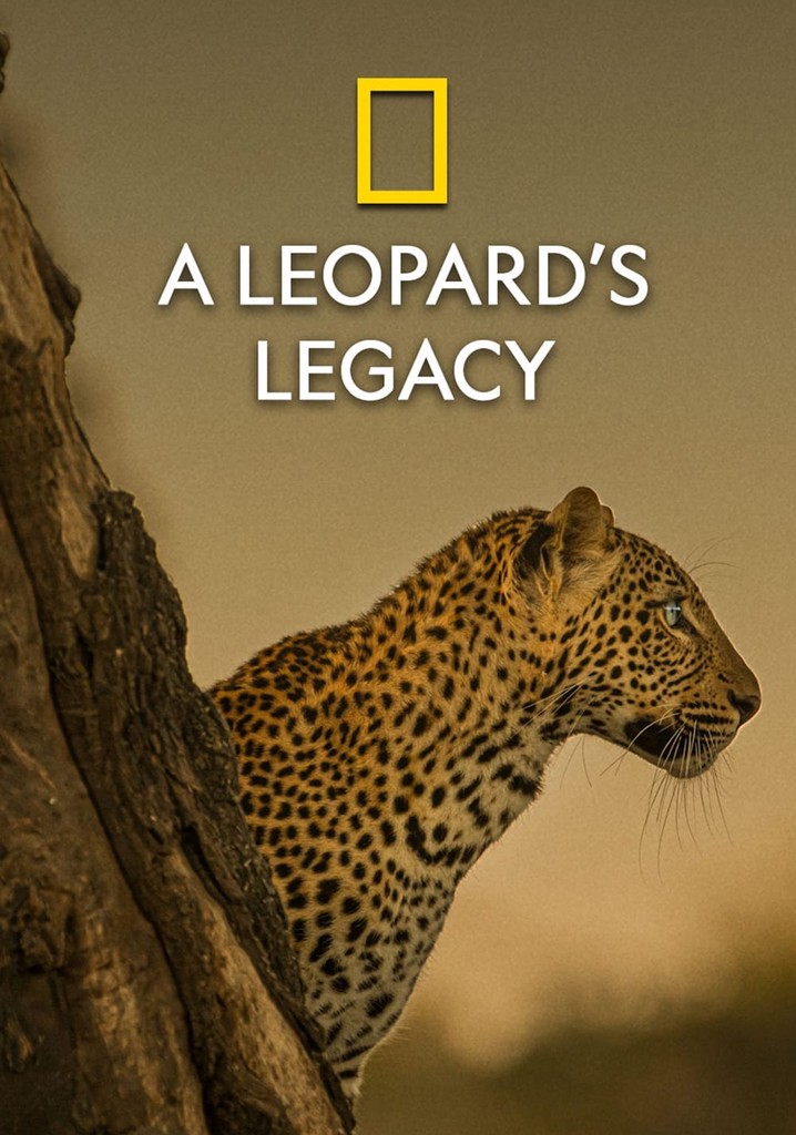 A Leopard's Legacy - movie: watch streaming online