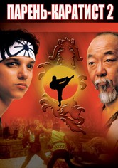 Парень-каратист 2