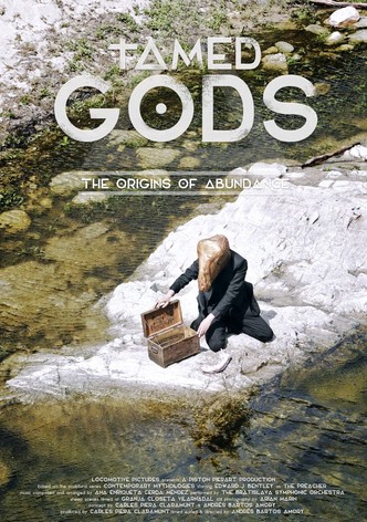 Tamed Gods: The Origins of Abundance