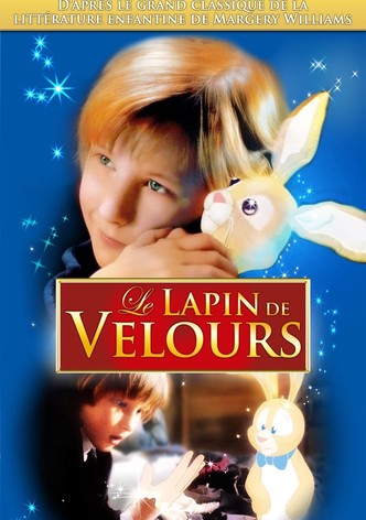 Le lapin de velours