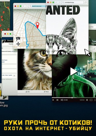 Руки прочь от котиков! Охота на интернет-убийцу