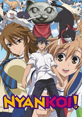Nyan Koi!