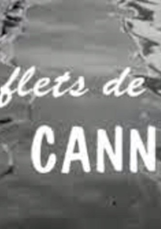 Reflets de Cannes