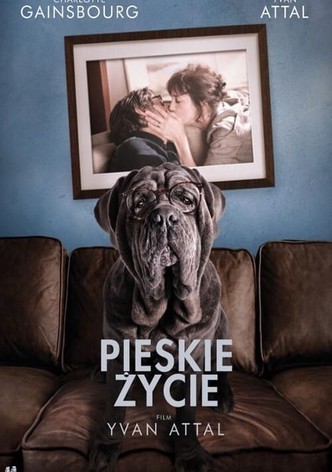 Pieskie życie