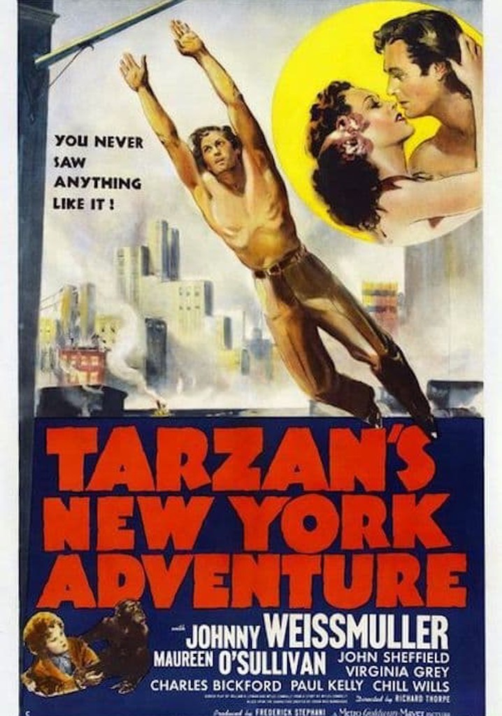 Amazon.co.jp: THE STORY OF TARZAN ~2007 TOUR FINAL & DOUBLE