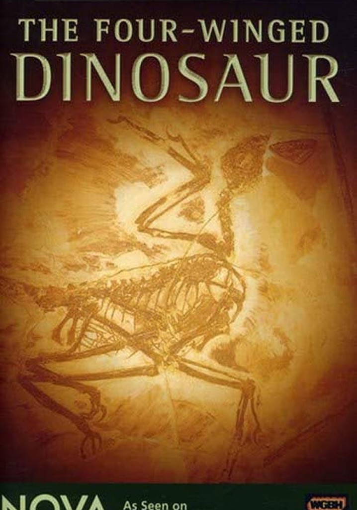 The Four-Winged Dinosaur