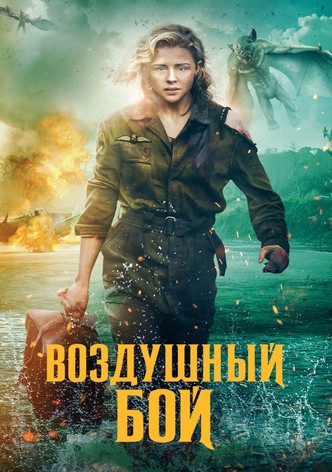 Воздушный бой