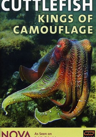 Cuttlefish: Kings of Camouflage