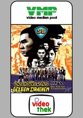 Die 13 Söhne des gelben Drachen