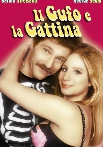 Il gufo e la gattina