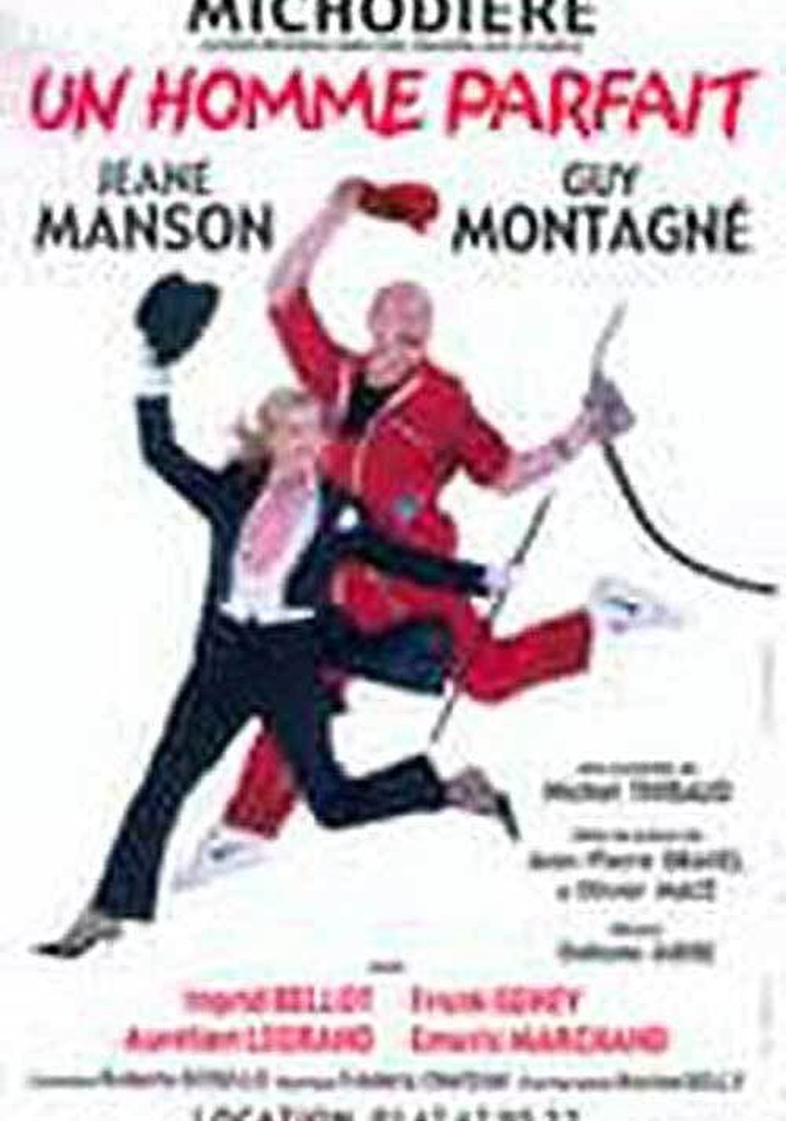 Un homme parfait