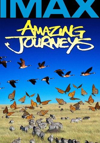 Amazing Journeys