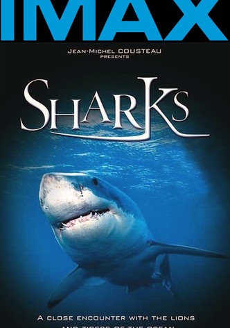 Sharks 3D