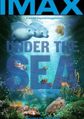 IMAX - Under the Sea 3D