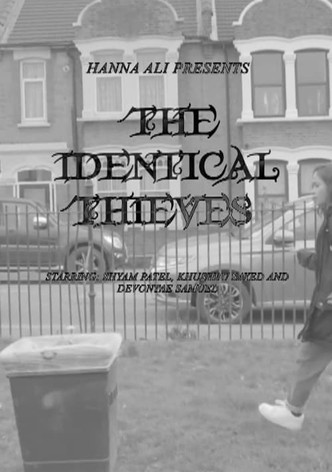 The Identical Thieves