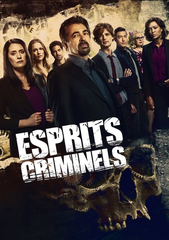 Regarder La Serie Esprits Criminels Streaming