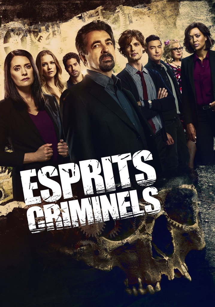 Regarder La Serie Esprits Criminels Streaming